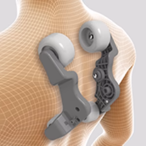 Neck and Shoulder