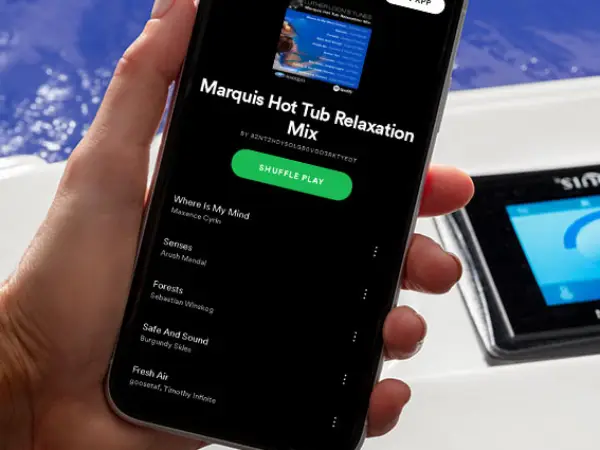 Bluetooth Audio System (optional)