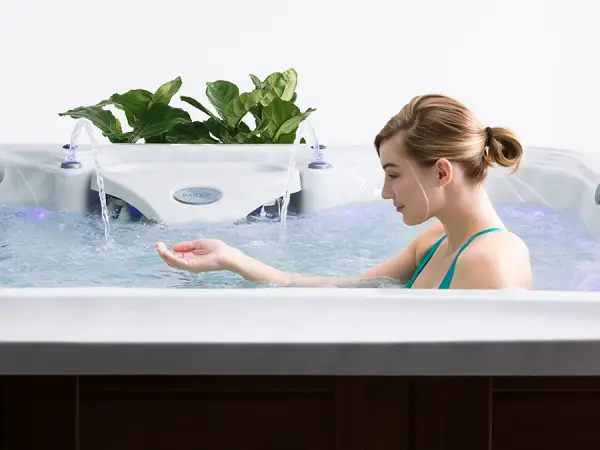 In-Line Sanitation and Ozonator (optional)